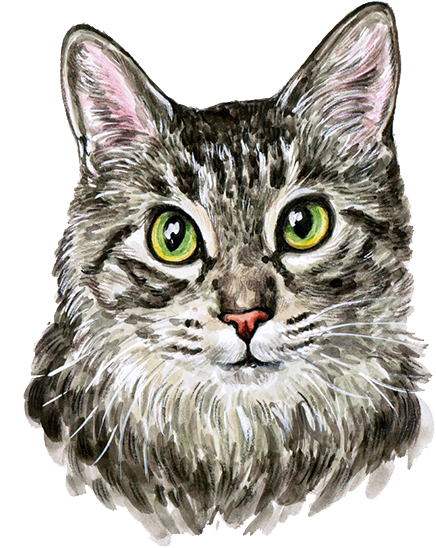 Cat Kitten Watercolor Painting - Cutest Cat Watercolor Painting (800x800), Png Download