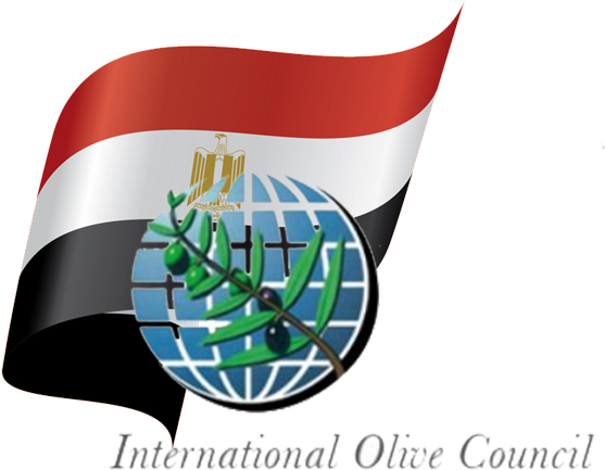International Olive Council Logo (720x446), Png Download