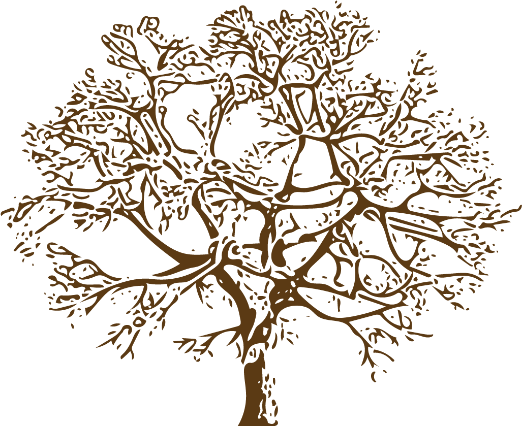 And Have As Much Family Listed On The Tree As Possible - Illustration (1100x850), Png Download