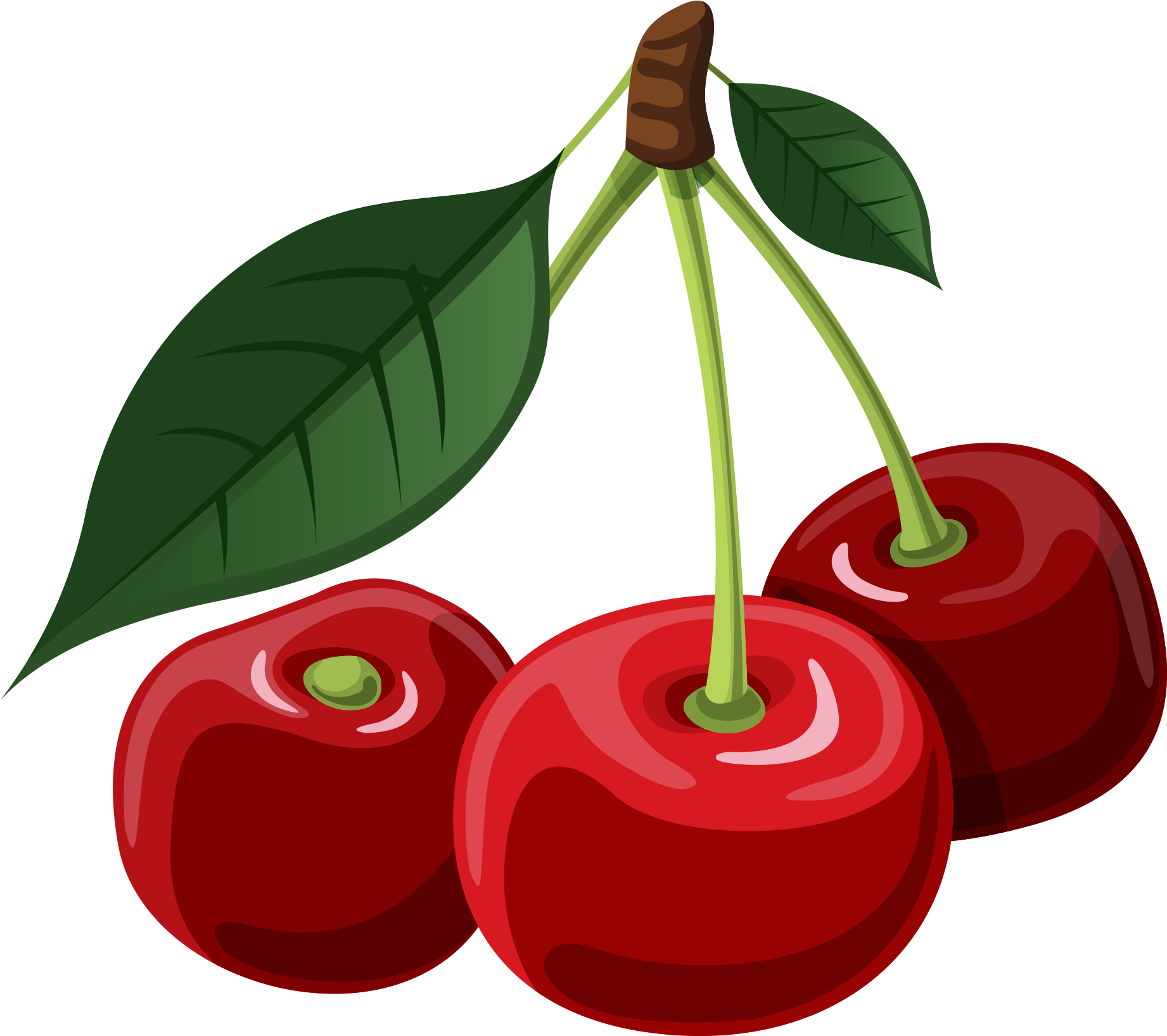 Download - Cherryclipart (2023x2305), Png Download