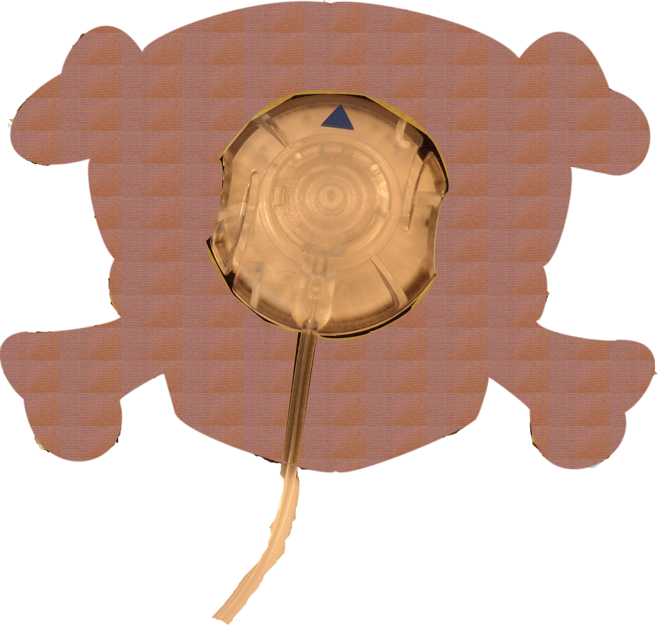 Tortoise (2188x2078), Png Download