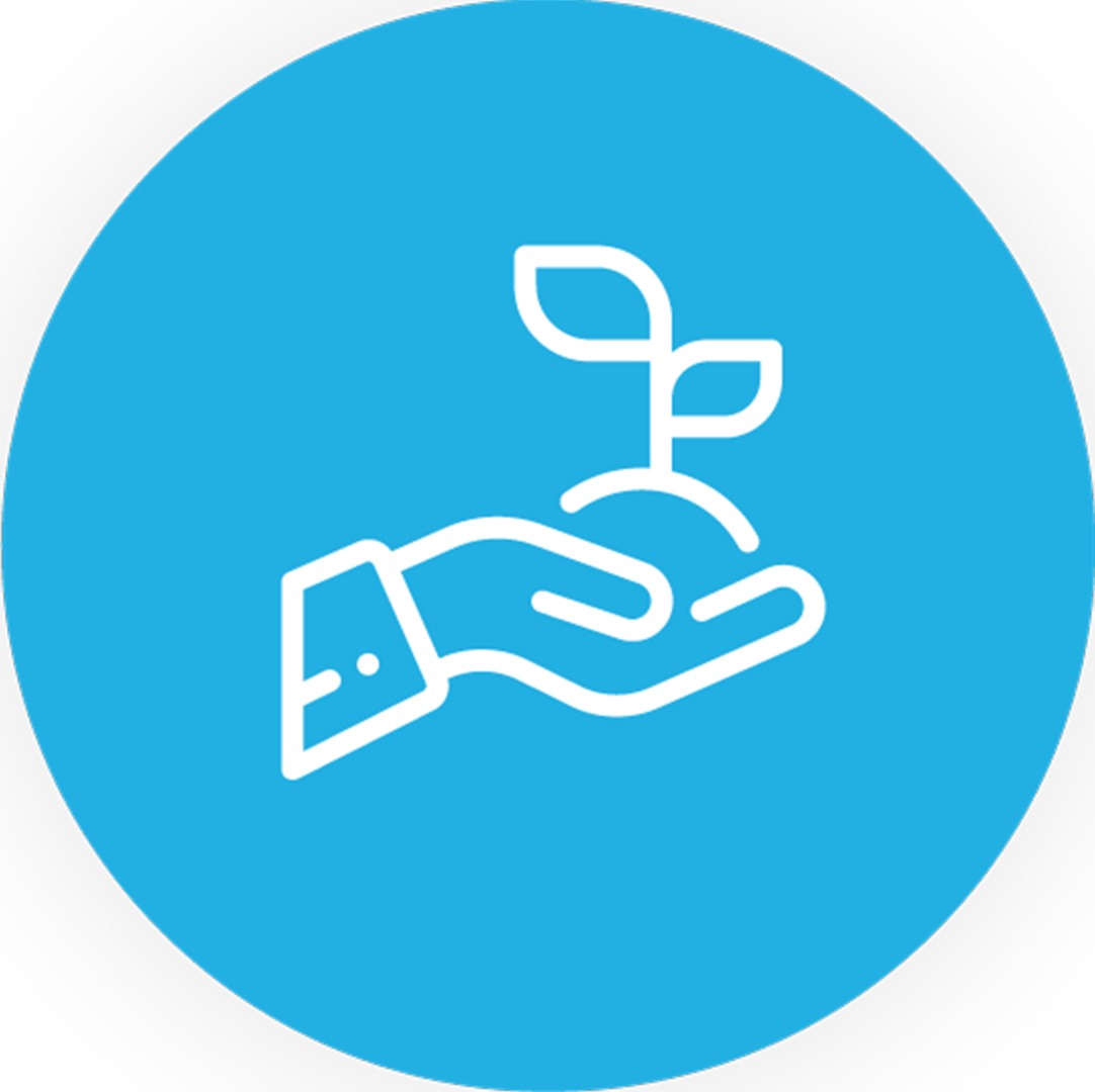 Startup Accelerator - Startup Accelerator Icon (1082x1080), Png Download