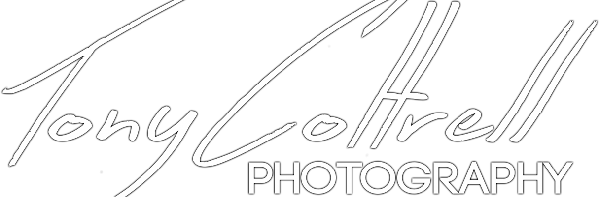 Professional Event Photography By Tony Cottrell - Calligraphy (1600x400), Png Download