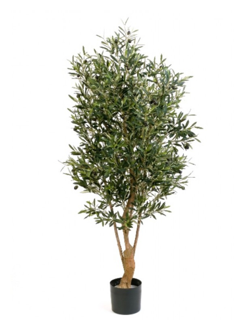 Olijfboom Twisted, 150cm - Rustic Pot Tree Png (640x640), Png Download