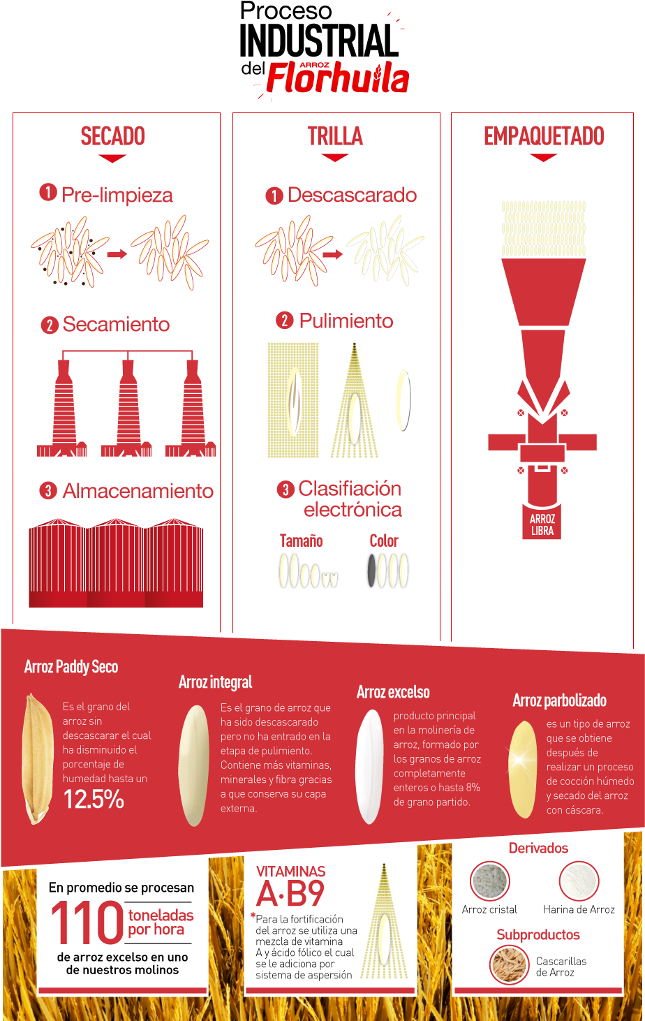 Procesodelarroz - Proceso Industrial Del Arroz (1280x1500), Png Download