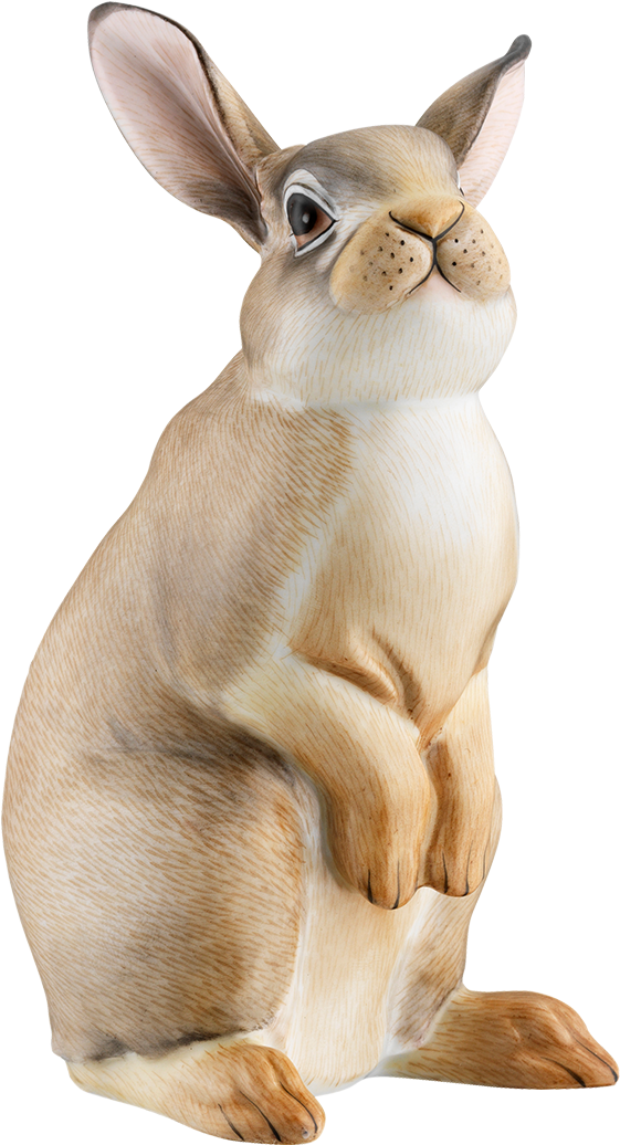 Hare (1500x1500), Png Download