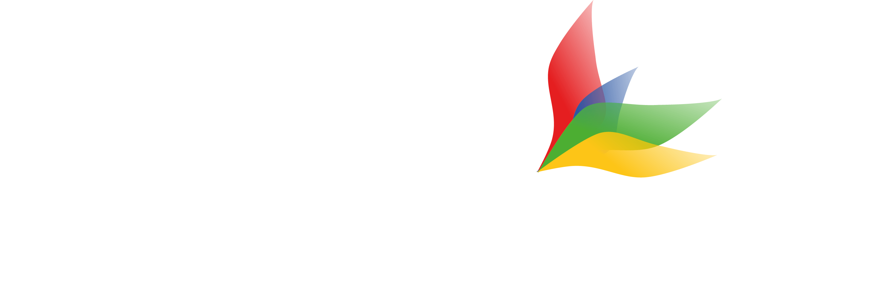 Neukleos Wins Olx Nigeria Digital Marketing Account - Graphic Design (2885x970), Png Download