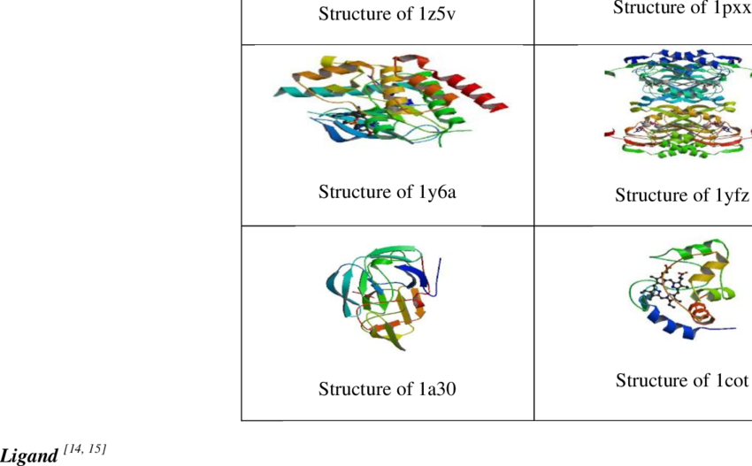 Structure Of Target - Diagram (850x527), Png Download