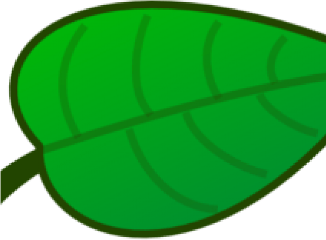 Green Leaves Clipart Jack And The Beanstalk (640x480), Png Download