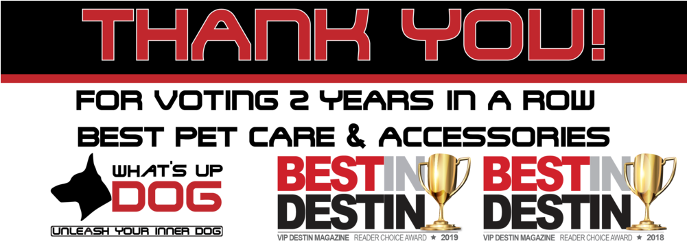 Dog Cat Christmas - Matssoft (1000x364), Png Download