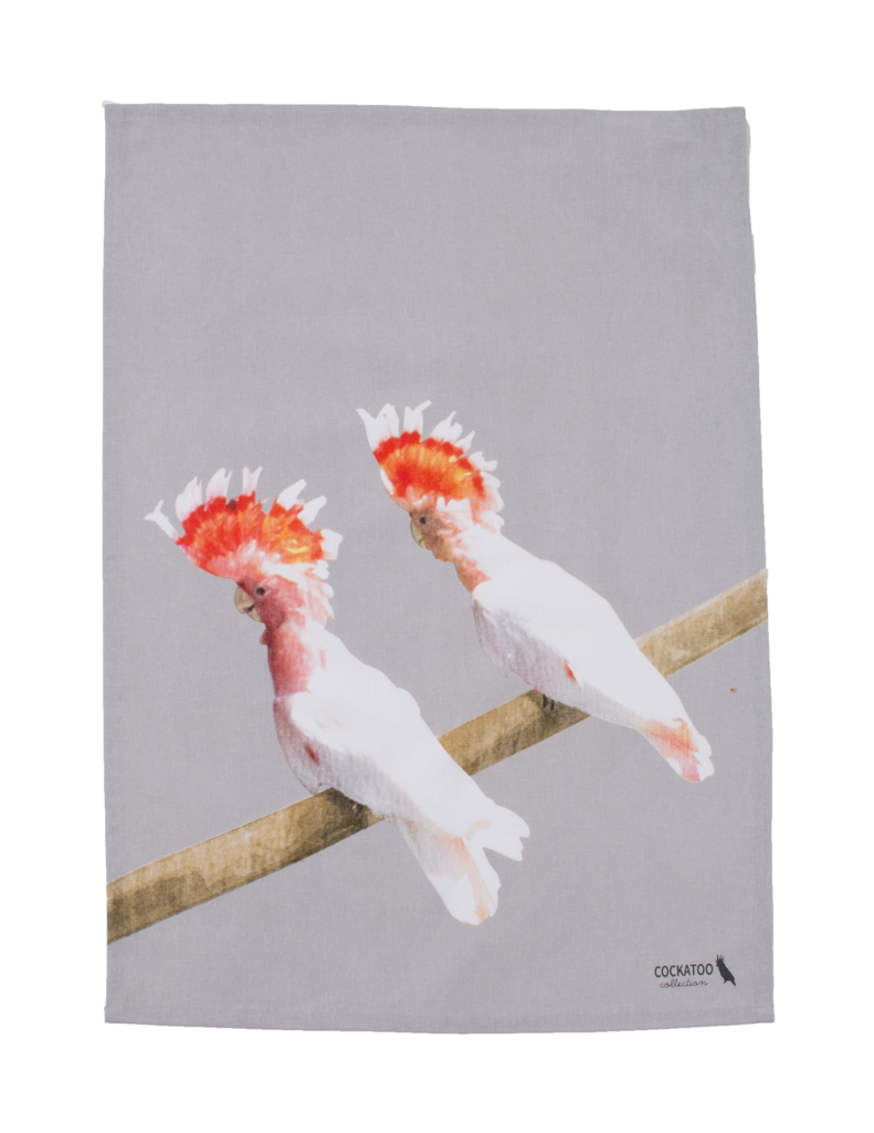 Cockatoo Friends Tea Towel Australiana Gift By Cockatoo - Cockatiel (1024x1024), Png Download