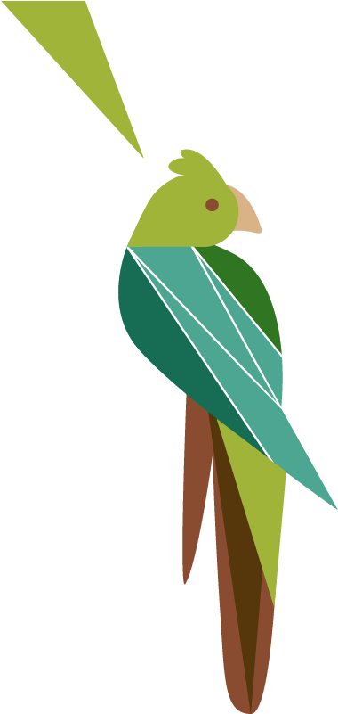 Sidebar Cockatoo - Parakeet (401x803), Png Download