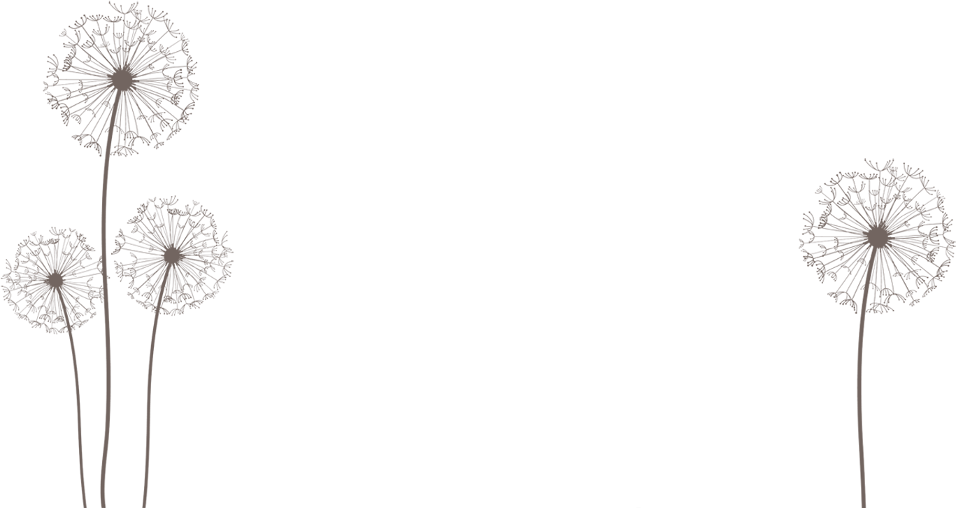 Png By Dragonart Festival Urlaub Pinterest - Dandelion (1440x834), Png Download