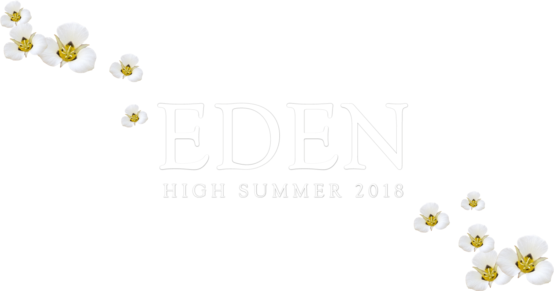 Eden Web Title Copy 35fcdca7 84f0 47df Ab98 B33182b06da8 - Camomile (1900x980), Png Download