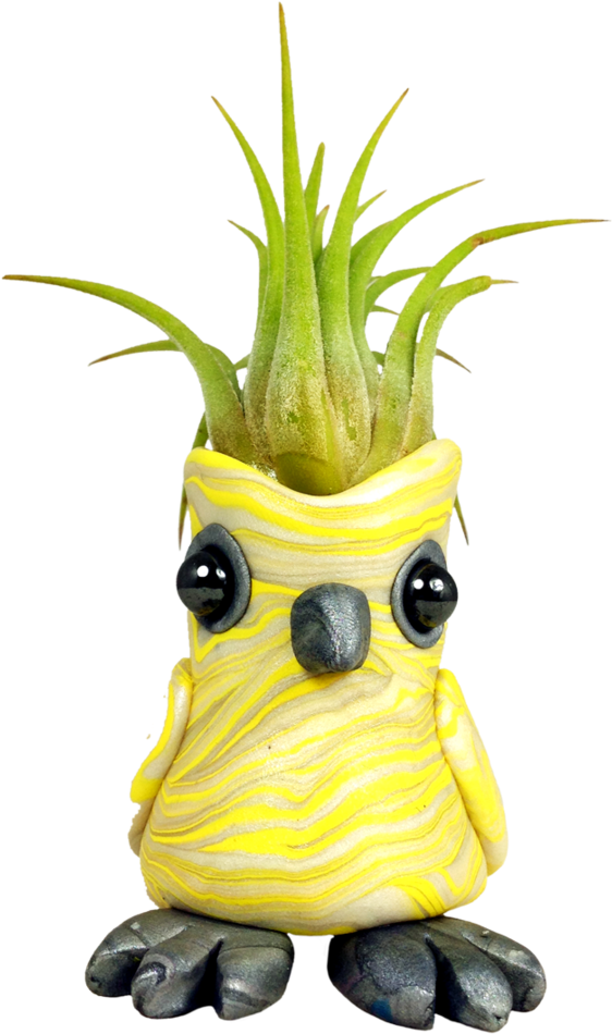 Pineapple (768x1024), Png Download