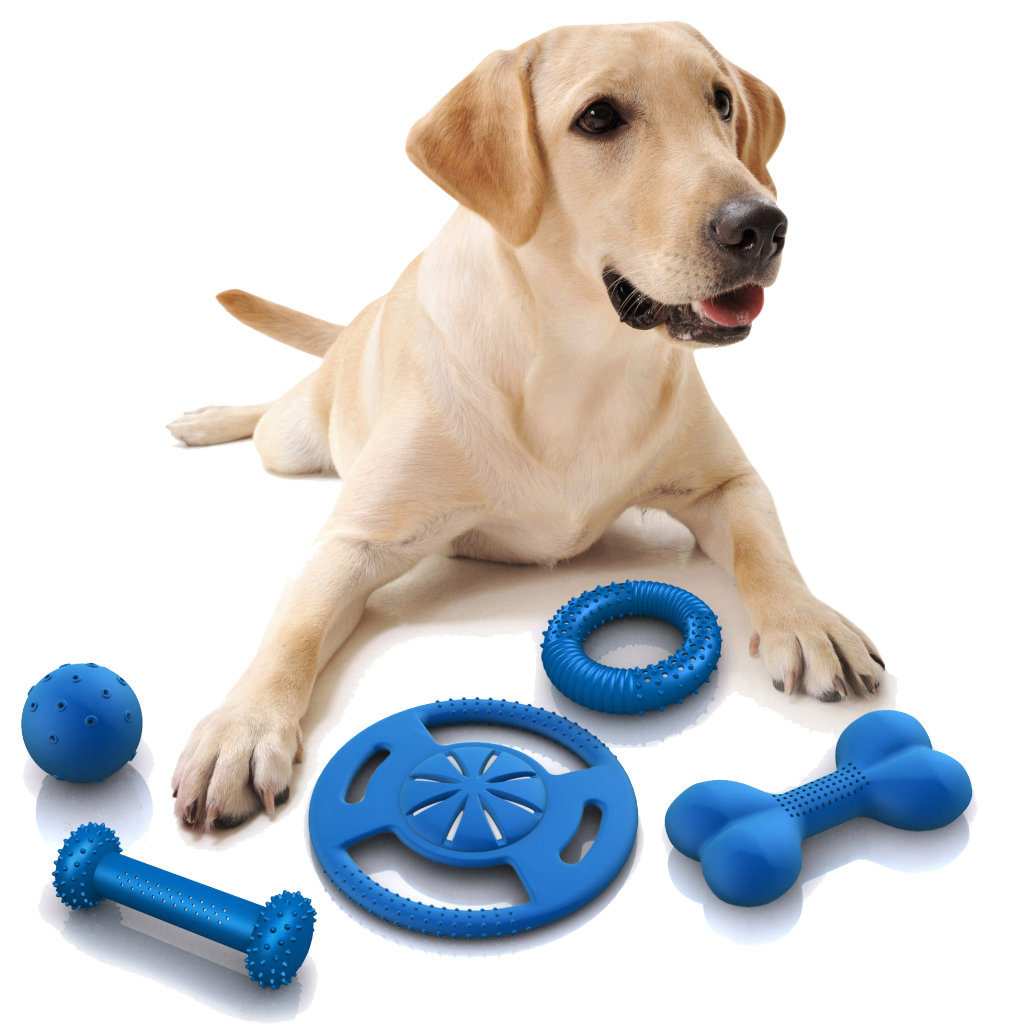 Dog Toy Png - Đồ Chơi Cho Chó (1014x1024), Png Download