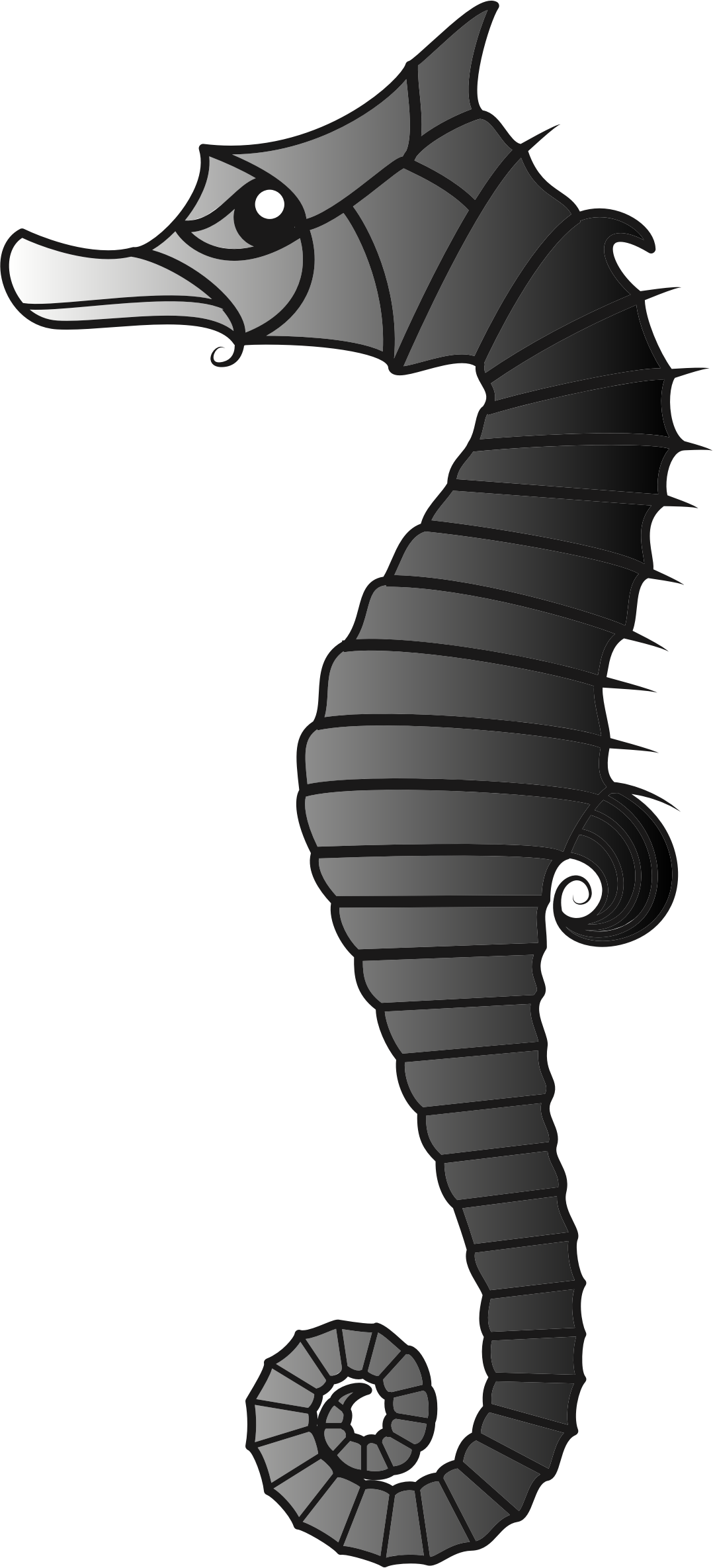Ray Clipart Seahorse - Illustration (1078x2369), Png Download