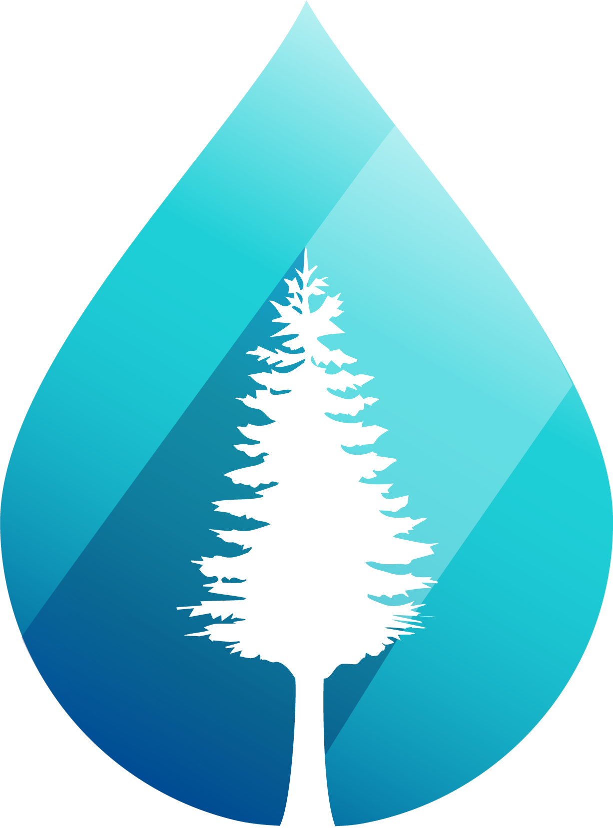 Wetspots - Org - Christmas Tree (1227x1657), Png Download