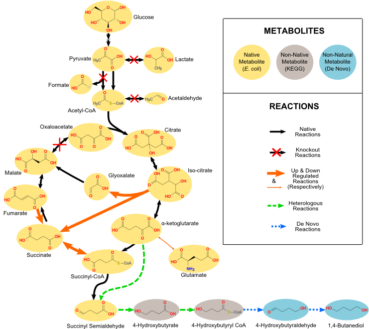 These Methods May Utilize Known Native And Known Non-native - Diagram (748x677), Png Download