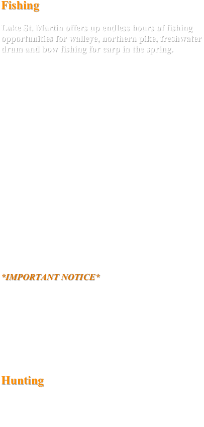 Orange (432x990), Png Download