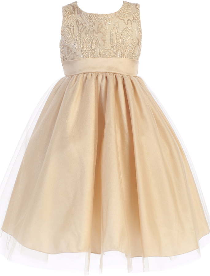 Gold Tulle Overlay Girls Holiday Dress With Sleeveless - Short Champagne Dress For Kids (683x1024), Png Download