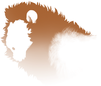 Brown Flare Png Image Background - Silhouette (640x500), Png Download