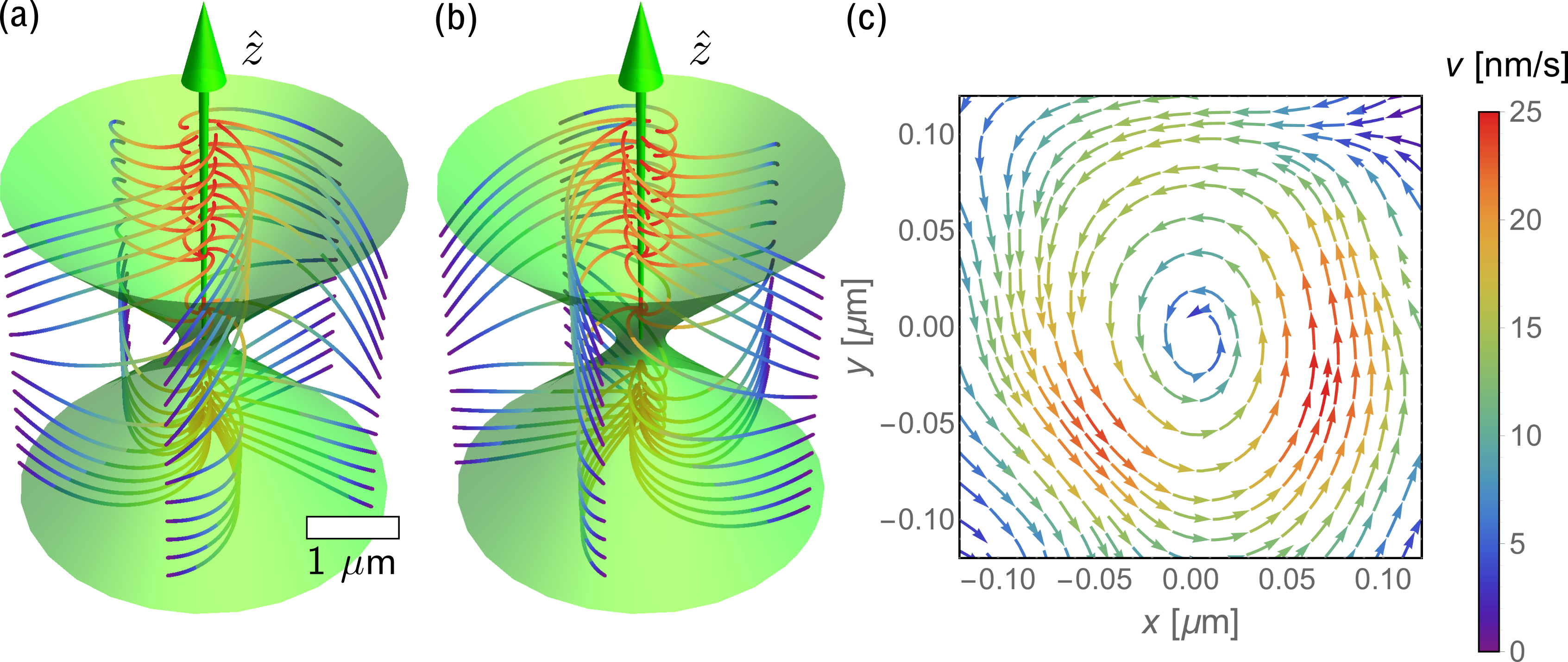 Photokinetic Forces In Circularly Polarized Optical - Circle (3385x1429), Png Download