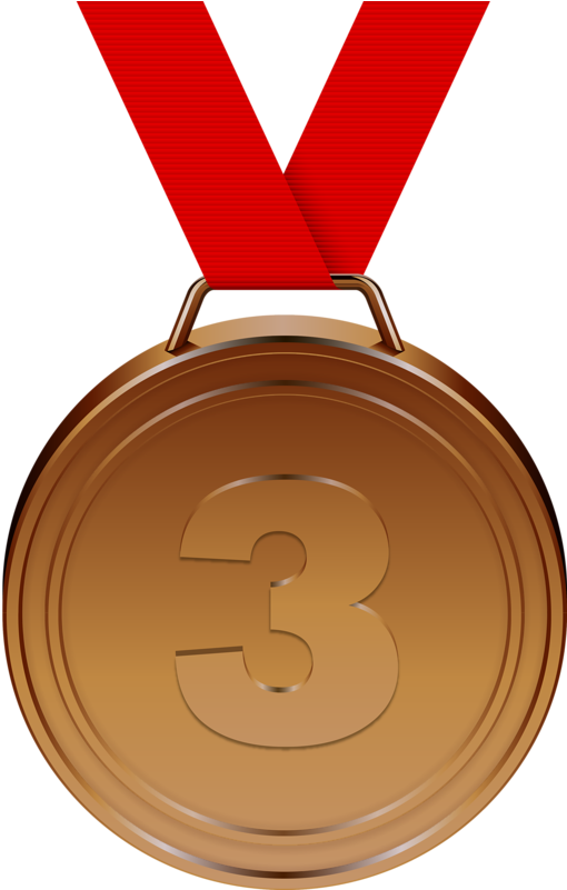 Фото, Автор Soloveika На Яндекс - Bronze Medal (556x800), Png Download