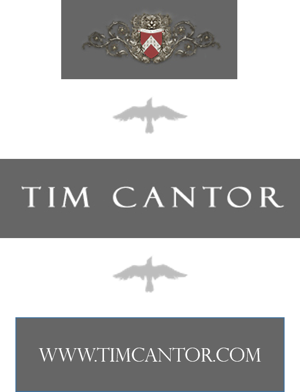 Meet The Artist, Tim Cantor - Air Force (603x787), Png Download