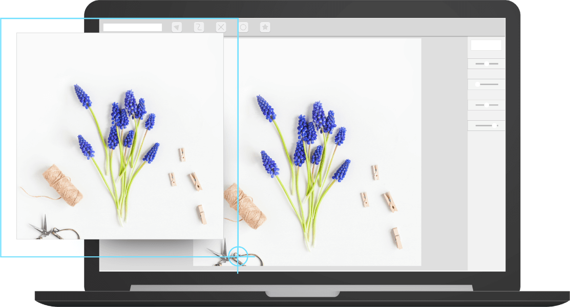 Available On - - English Lavender (1113x600), Png Download