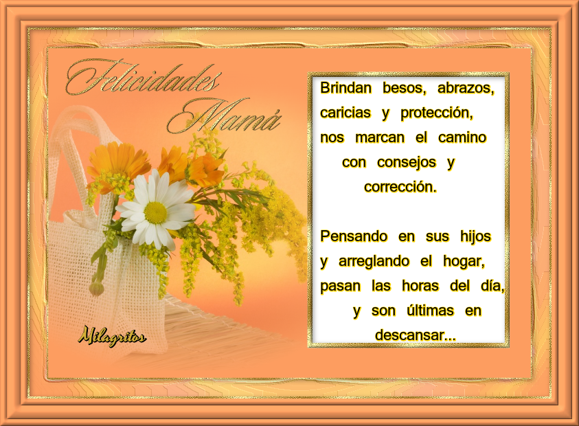 Mvbnztj - African Daisy (843x620), Png Download