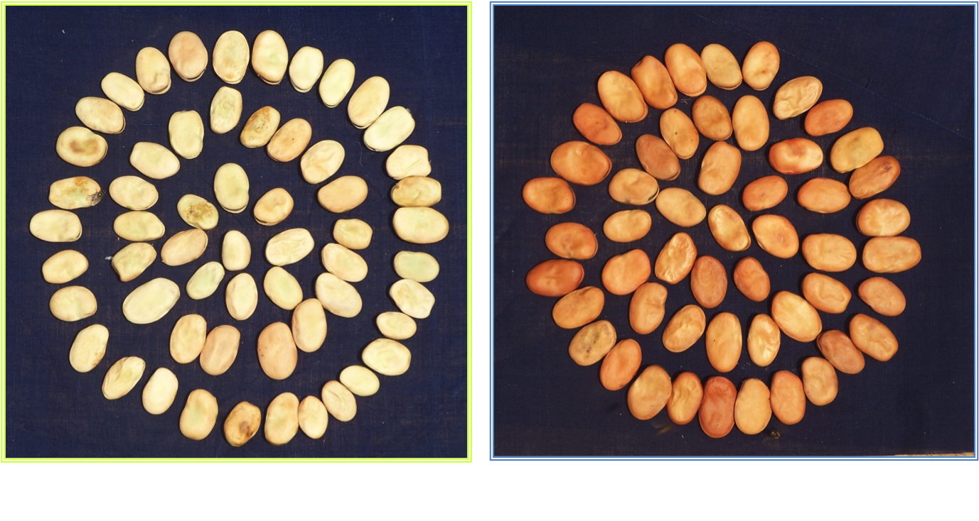 Ooty - Wood (1376x748), Png Download