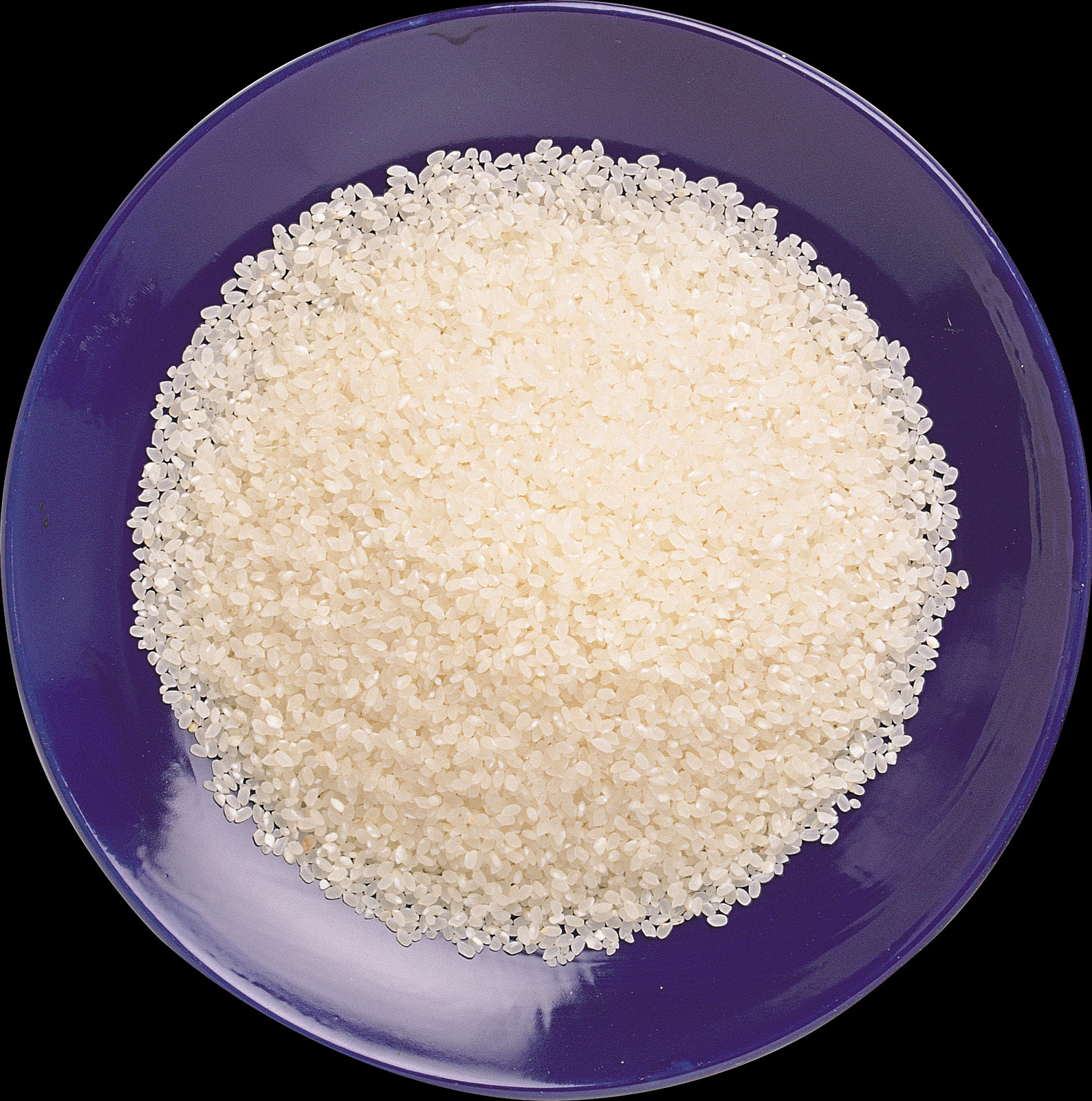 Rice (1588x1600), Png Download