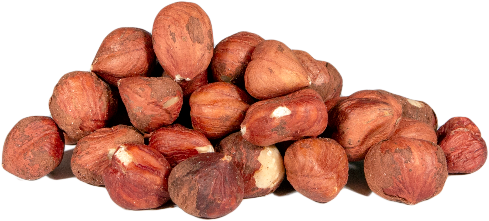Hazelnuts, Barcelona, Whole, Raw - Hazelnut (2048x1462), Png Download
