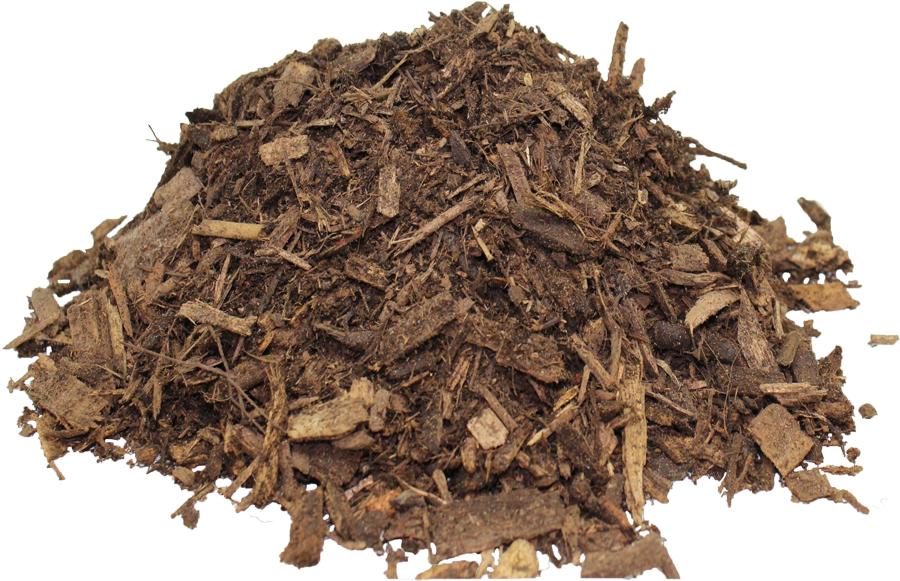 Ground Cover - Nilgiri Tea (900x600), Png Download