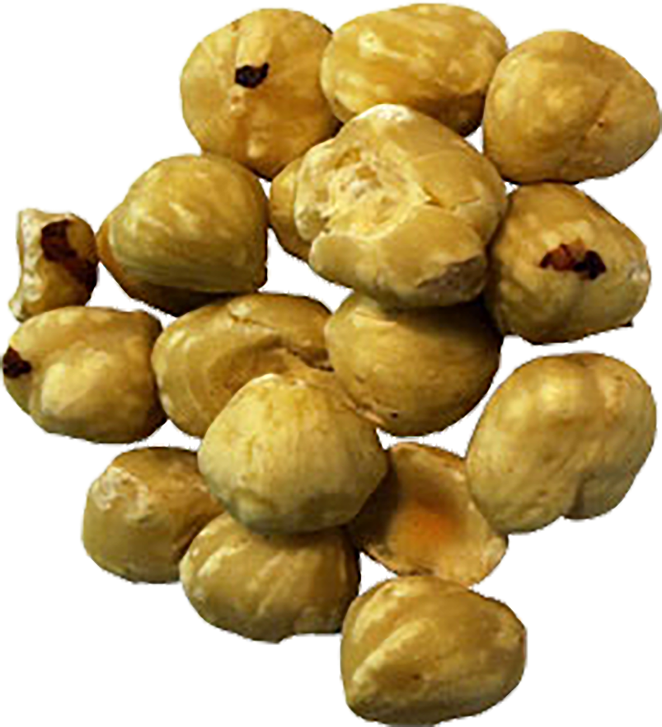 S717088470361350286 P551 I1 W2500 - Candlenut (2500x2500), Png Download