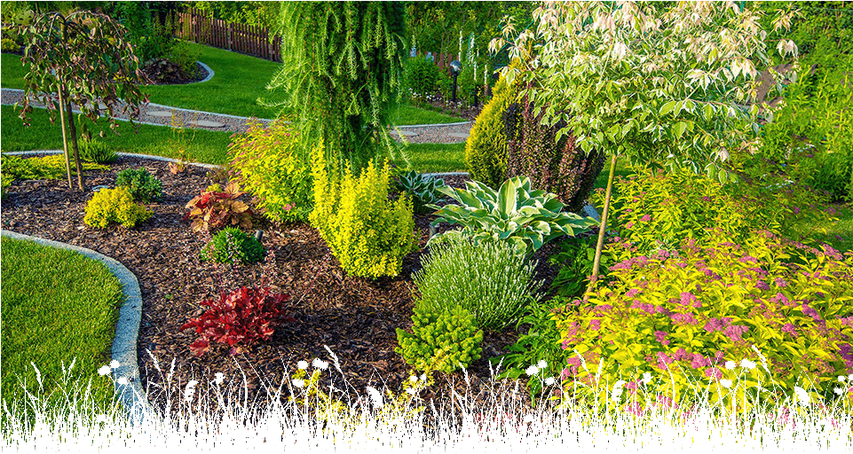 Overplanting (960x540), Png Download