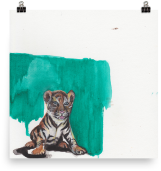 Ocelot (800x800), Png Download