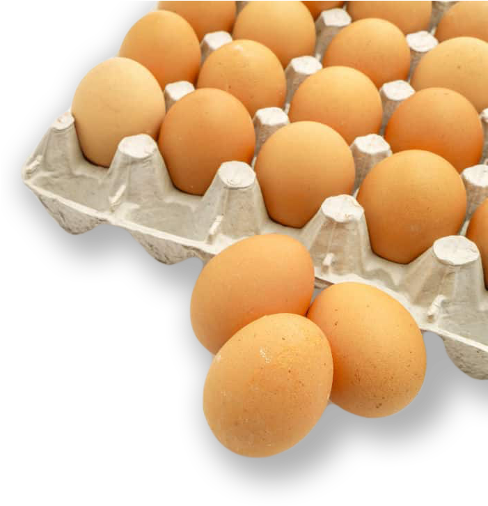 10 Egg Cartons (700x734), Png Download