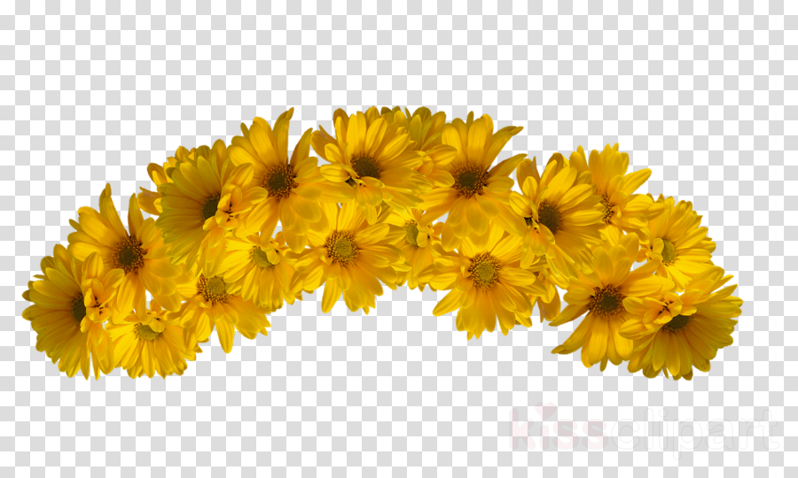 Transparent Flower Crowns - Yellow Flower Crown Transparent (900x540), Png Download
