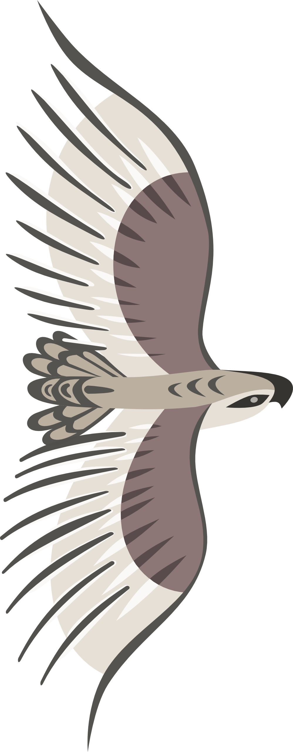 Golden Eagle Goldeneagle By Rones 999px 295 - Bird Top View Png (999x2565), Png Download