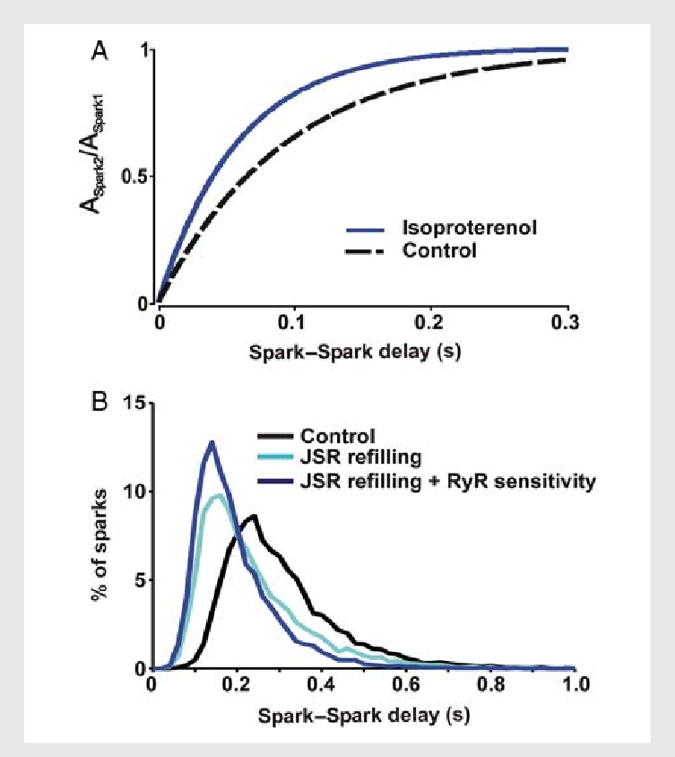 Simulations Of B-adrenergic Stimulation - Diagram (753x844), Png Download