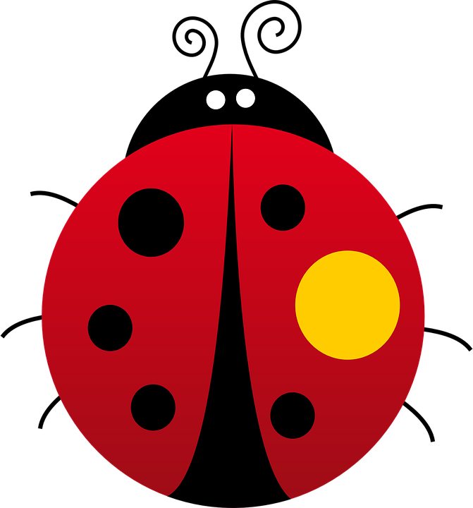 Ladybug Clipart Kumbang - Gambar Animasi Kumbang Kepik (671x720), Png Download