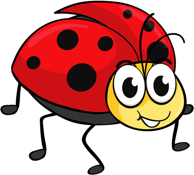 ‿✿⁀ Bug Images, - Maikäfer Clipart (800x761), Png Download