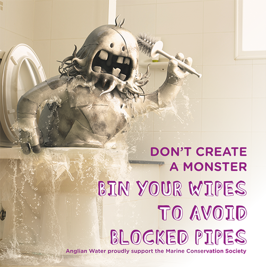 Please Bin Wet Wipes, Baby Wipes And Face Wipes, Don't - Poster (886x889), Png Download