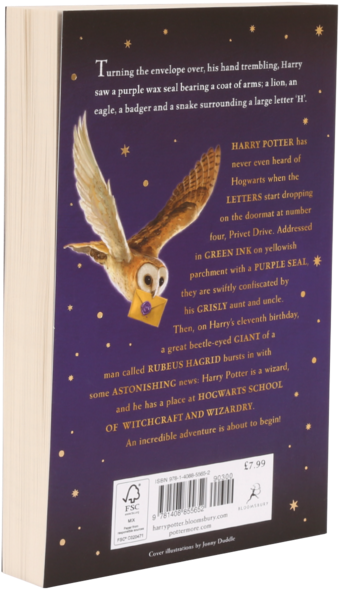 Barn Owl (528x600), Png Download