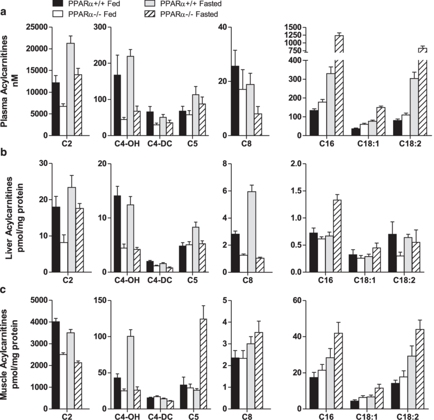 Download - Diagram (850x823), Png Download