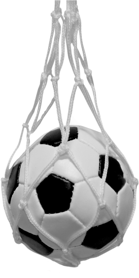 Back - Soccer Ball Car Mirror (1000x1000), Png Download