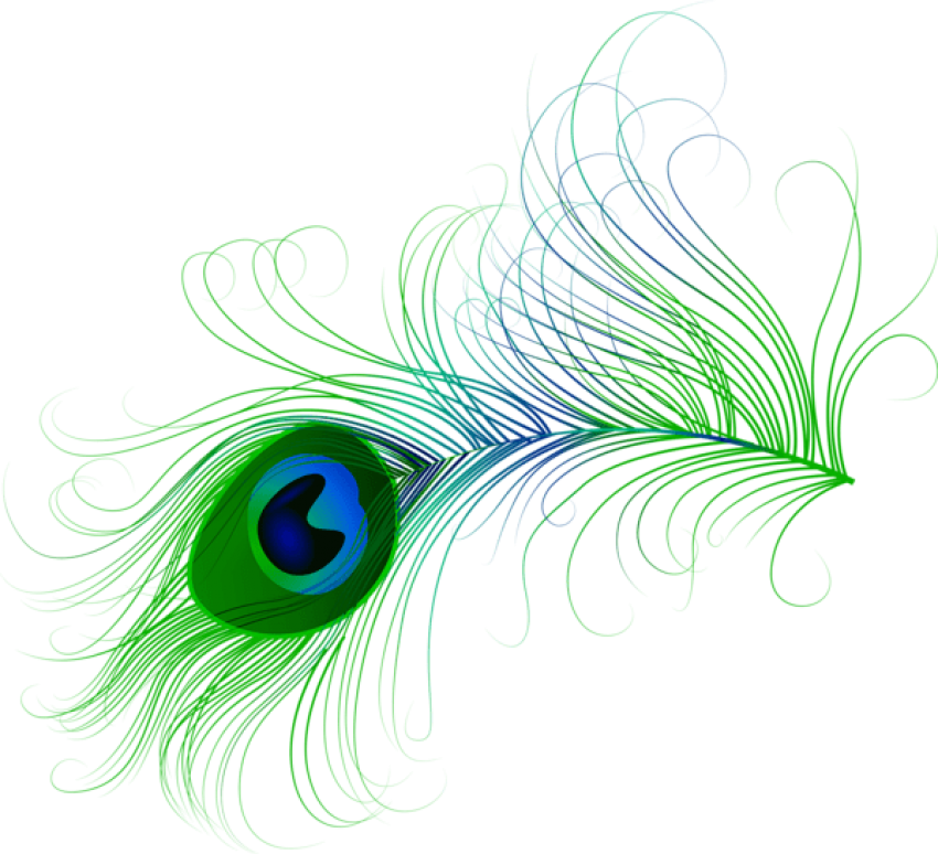 Free Png Download Peacock Feather Clipart Png Photo - Peacock Feather Clipart Png (850x774), Png Download