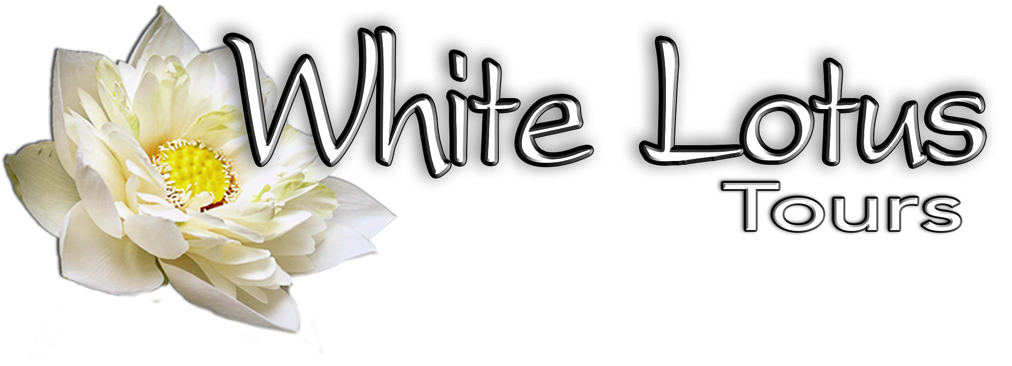 Click On The Lotus Above To Go To White Lotus Tours - Sacred Lotus (1030x412), Png Download